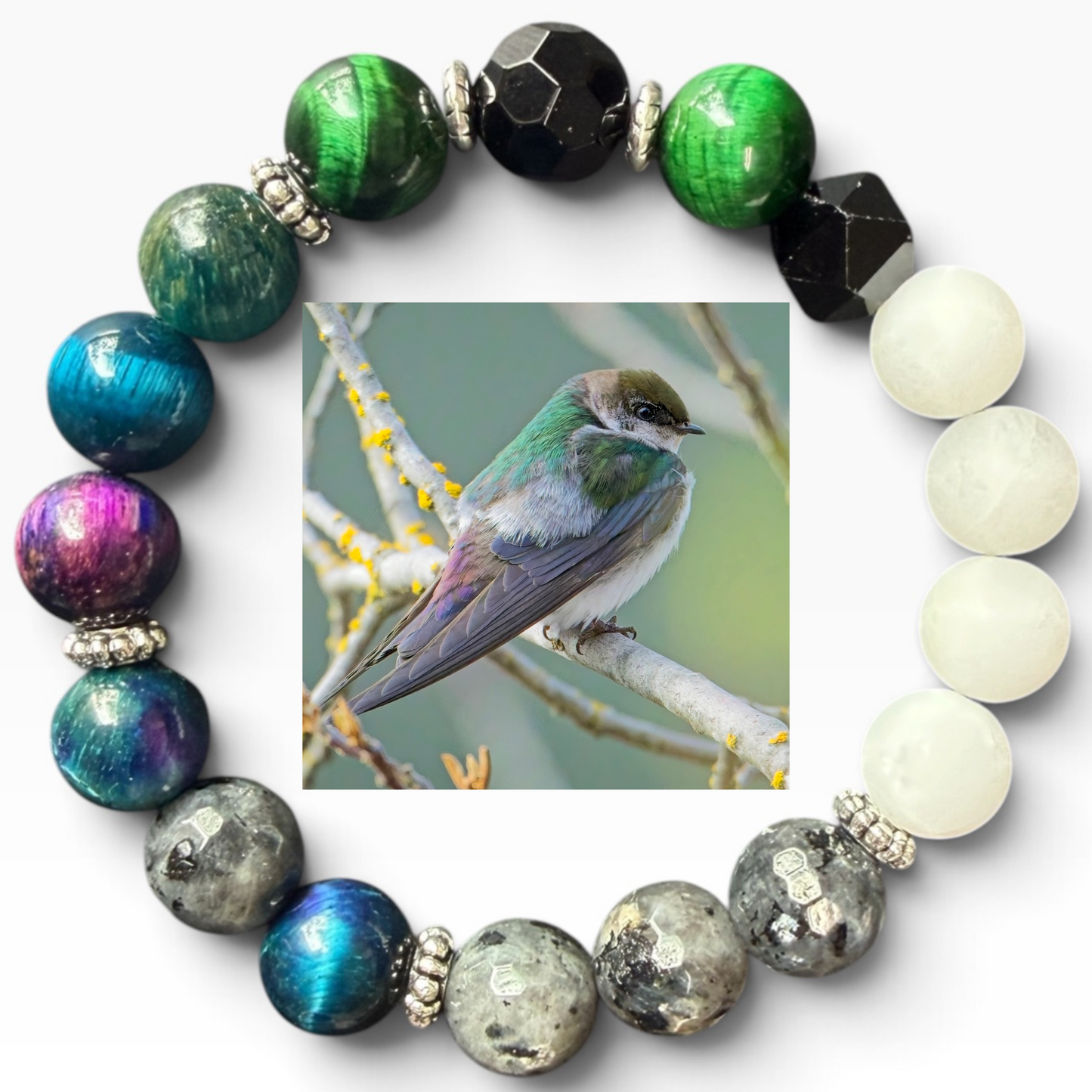 Violet-green Swallow
