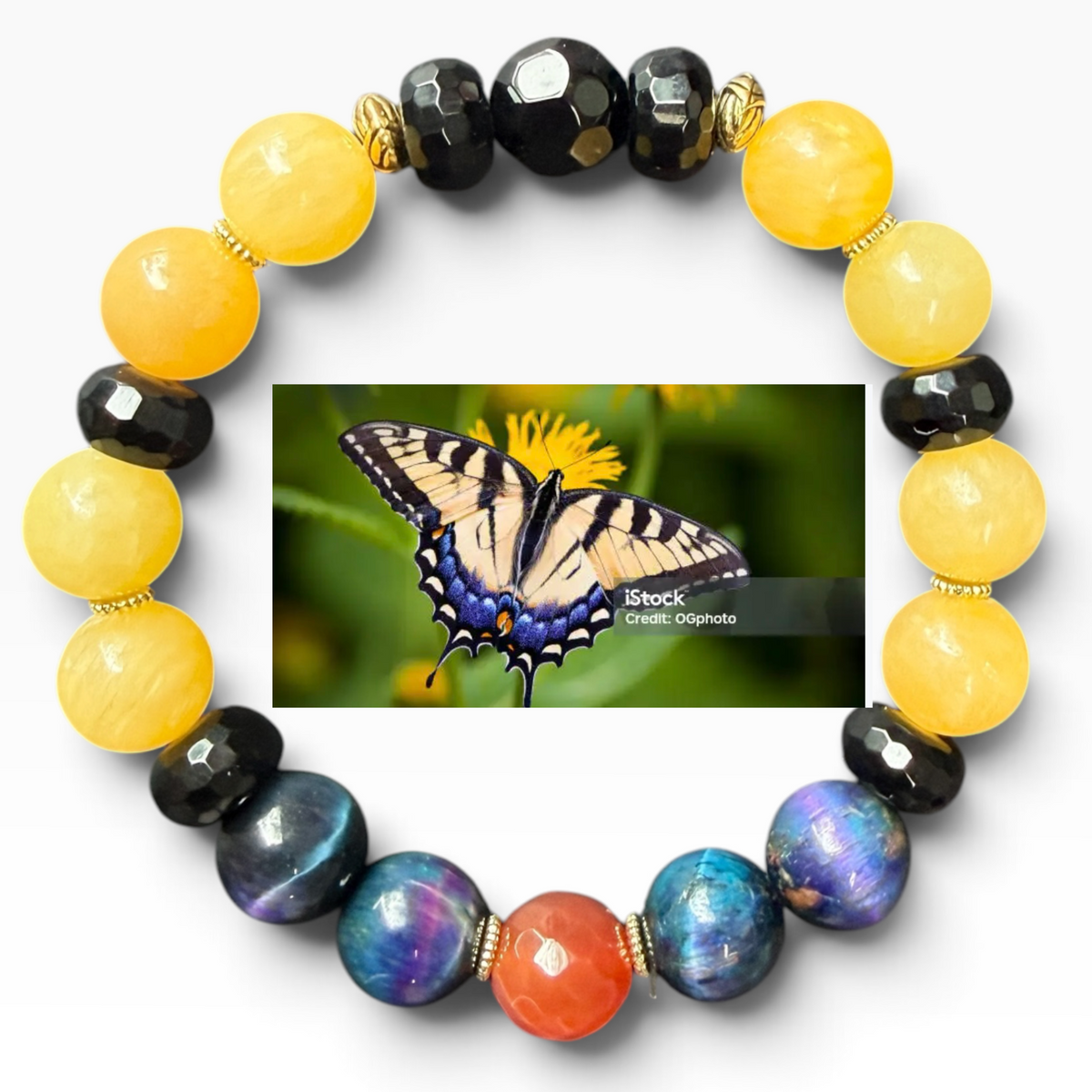 Western Tiger Swallowtail