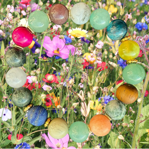Wildflowers
