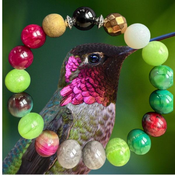 Anna's Hummingbird