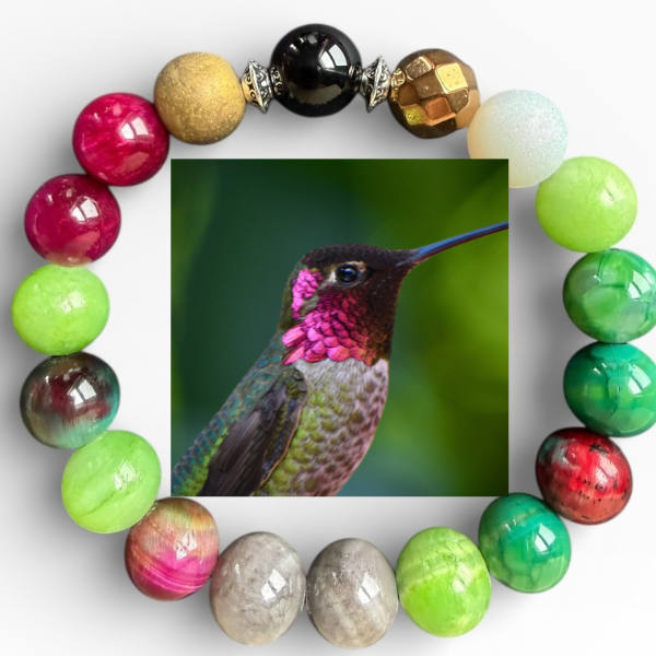 Anna's Hummingbird