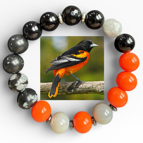 Baltimore Oriole