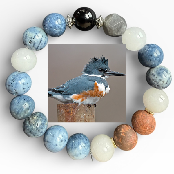 Belted Kingfisher