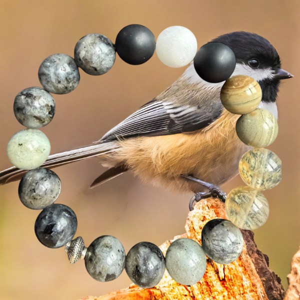 Black-Capped Chickadee