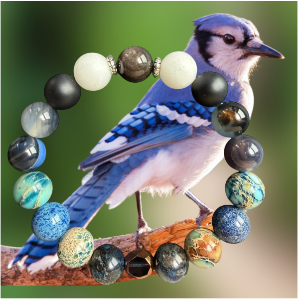 Blue Jay