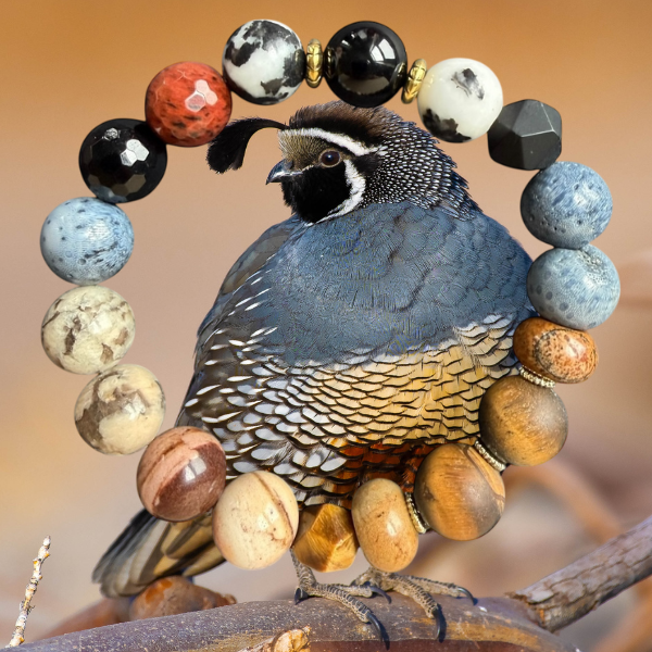 California Quail