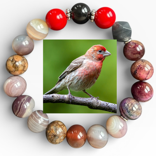 House Finch