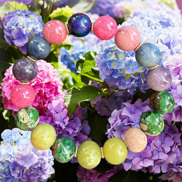 Hydrangea