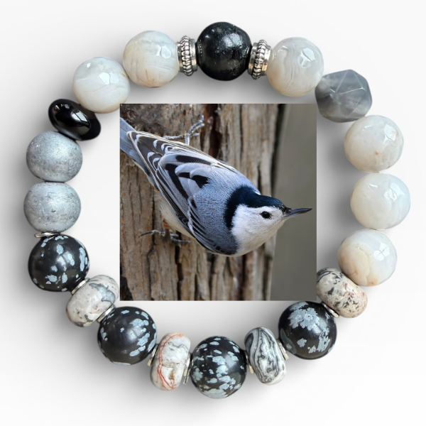 White-Breasted Nuthatch