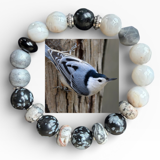 White-Breasted Nuthatch