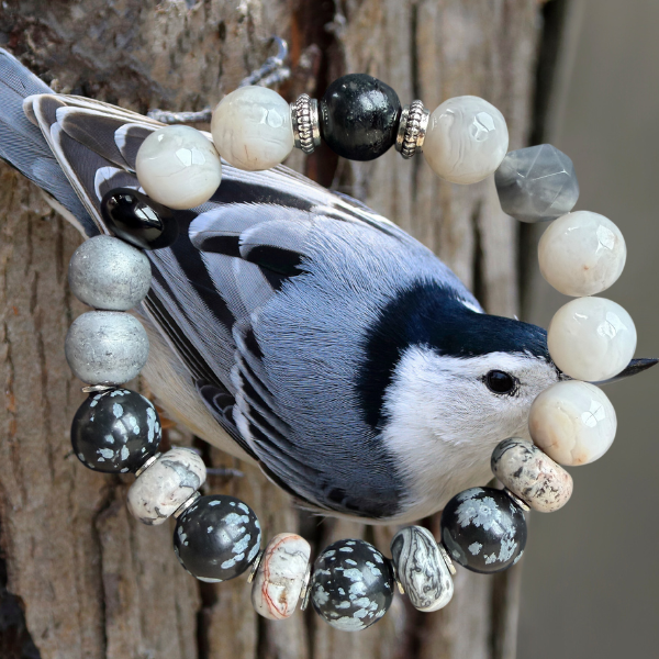 White-Breasted Nuthatch