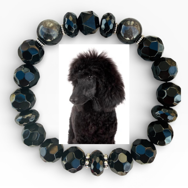 Poodle
