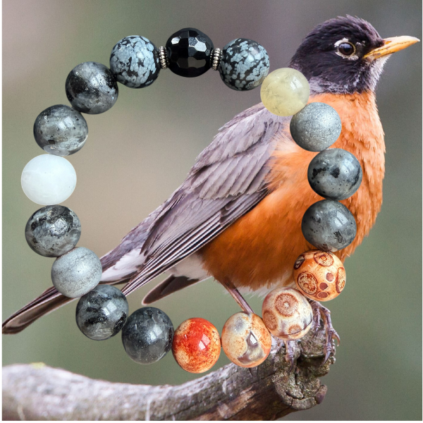 Robin