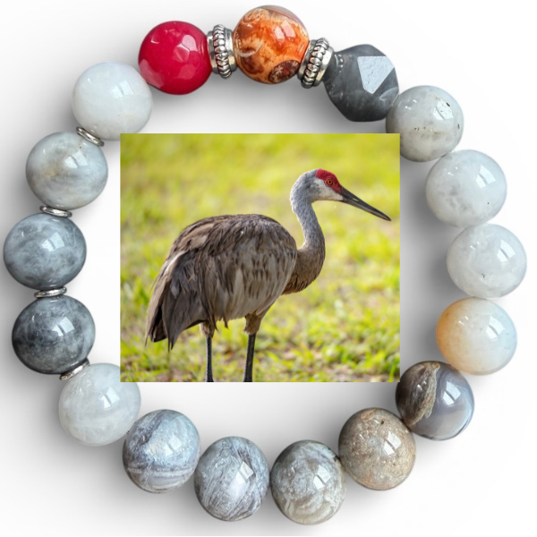 Sandhill Crane