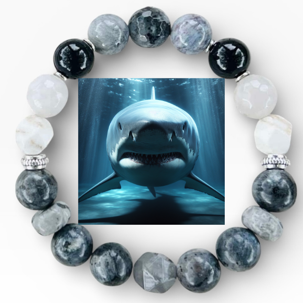 Shark