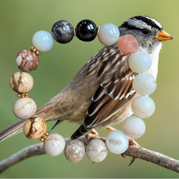 White-crowned Sparrow