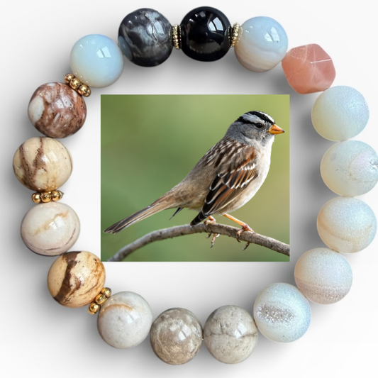 White-crowned Sparrow